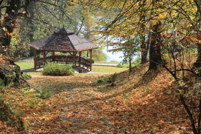 Ogród Botaniczny UMCS w Lublinie to doskonałe miejsce na spacer. Można podziwiać tu wyjątkową roślinność. Ogród ma ponad 1600 gatunków drzew i krzewów. Są tu rośliny rosnące w gruncie i rośliny szklarniowe. W parku rośnie także ponad sto drzew liczących ponad sto lat.