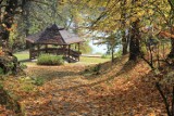 TOP 10 polecanych miejsc na jednodniową wycieczkę po Lubelszczyźnie. Parki, ogrody i rezerwaty przyrody. Zobacz 