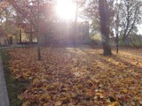 Jesień w Kartuzach - spacer po parku i lesie