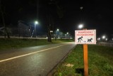 Ataki psów w rejonie „Czarnej Góry” w Olkuszu. Agresywne zwierzęta spacerują bez smyczy i kagańca