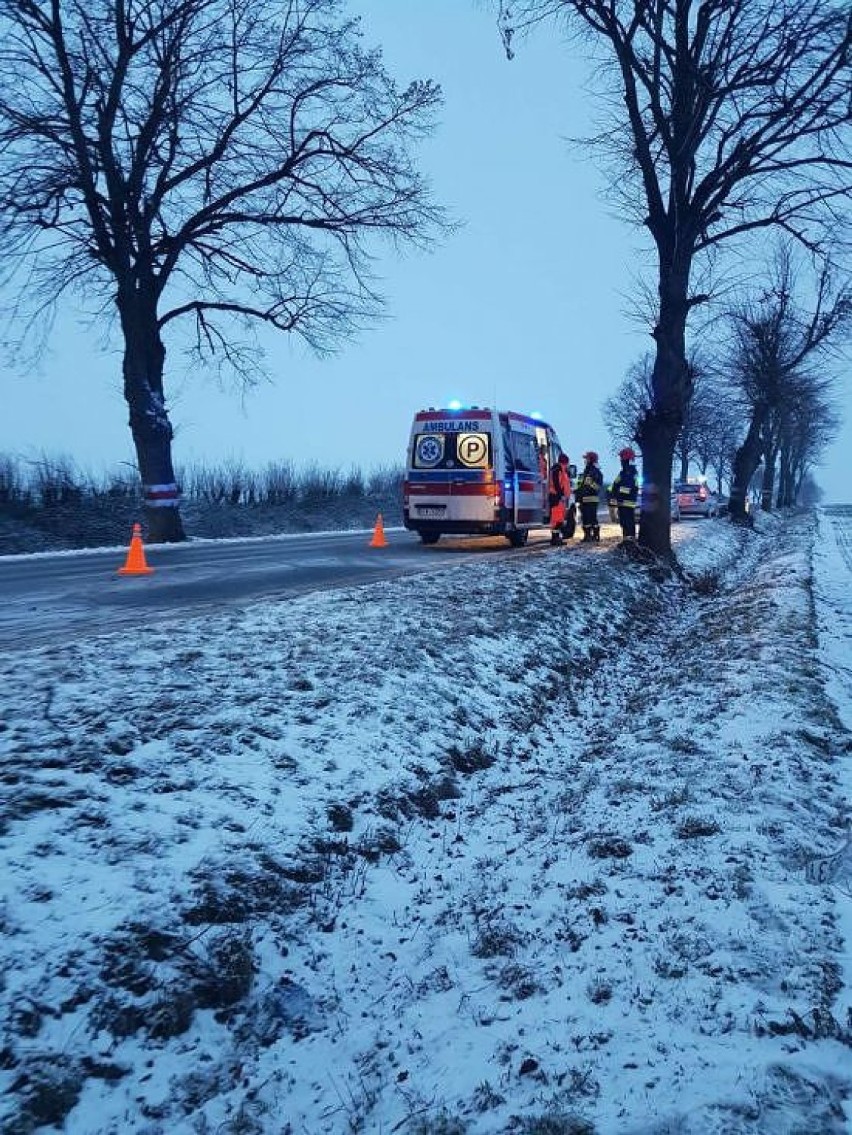 Śmiertelny wypadek na trasie Świdnica - Strzegom. Auto wbiło się w drzewo (ZDJĘCIA)