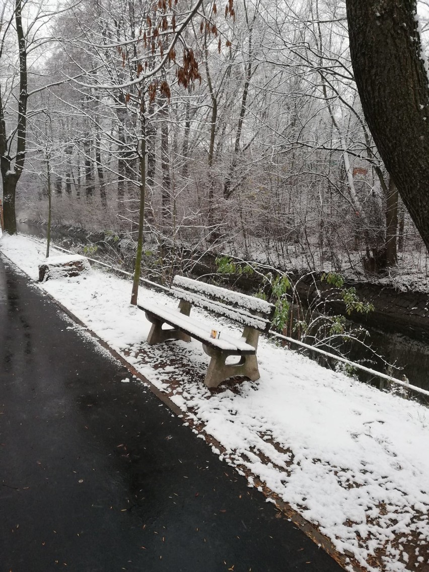 Powiat kłodzki pod śniegiem (ZDJĘCIA)              