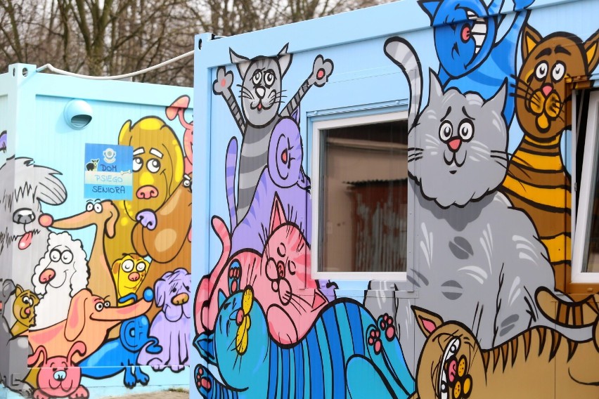 Kolorowe graffiti pokryły kontenery w Schronisku dla Bezdomnych Zwierząt w Chorzowie. Przedstawiają postaci psów i kotów  