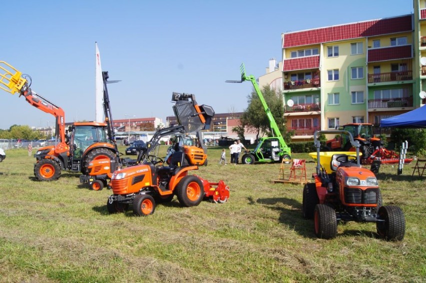 Wystawa ogrodniczo-sadownicza rozpoczęta 