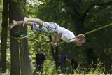 Wrocław: Slackline w parku Szczytnickim (ZDJĘCIA)