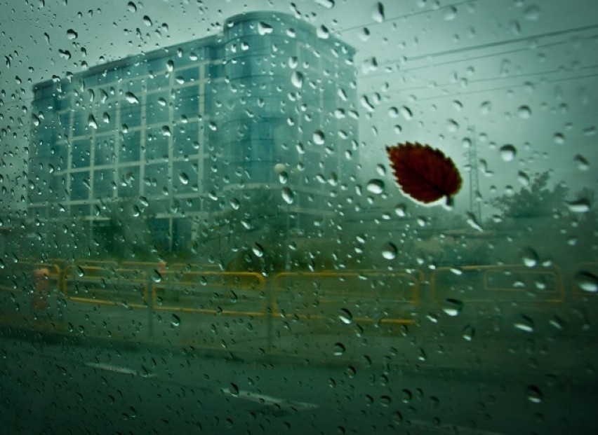 Fotografie są efektem konkursu "Katowice w Obiektywie 2013".