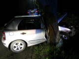 Wypadek w Zamku Kiszewskim. Kierowca uderzył w drzewo. Okazało się, że był nietrzeźwy 