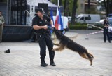 Patriotyczny Lubliniec dla Niepodległej. Pokaz przewodników psów policyjnych i pierwszej pomocy w wykonaniu strażaków [ZDJĘCIA]