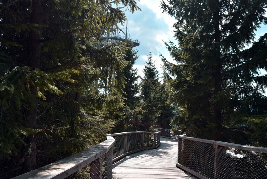 Dolní Morava w Czechach to nie tylko Sky Bridge 721. Ścieżka...