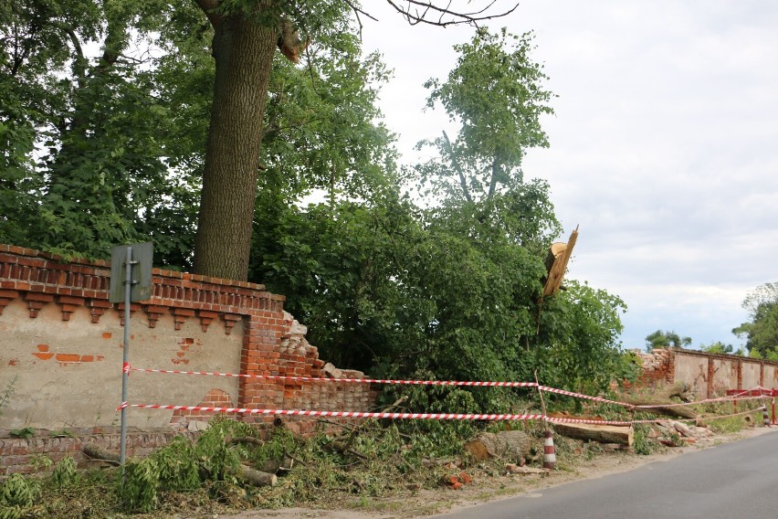Zniszczenia w Borku i Wiosce są ogromne. Większa część drzew...