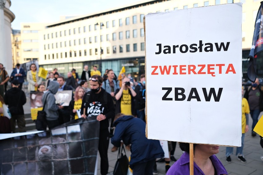 Wielki Marsz obrońców zwierząt w Warszawie. "Nie ma naszej zgody na dręczenie zwierząt" 