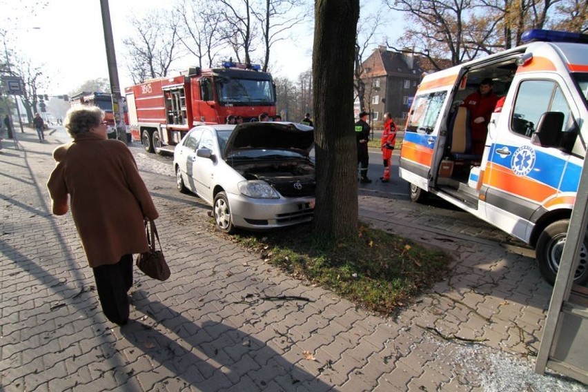 Wrocław: Wjechała w drzewo, bo sięgała po torebkę (ZDJĘCIA)