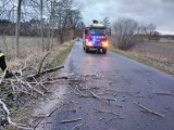 Strażacy w Wielkopolsce interweniowali ponad 200 razy [ZDJĘCIA]