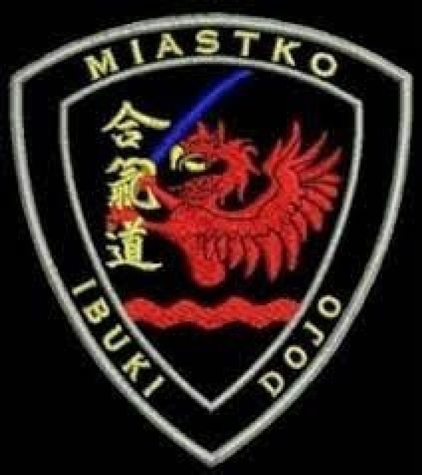 – 6 tys. zł (sport) na projekt Aikido – sztuka walki i...