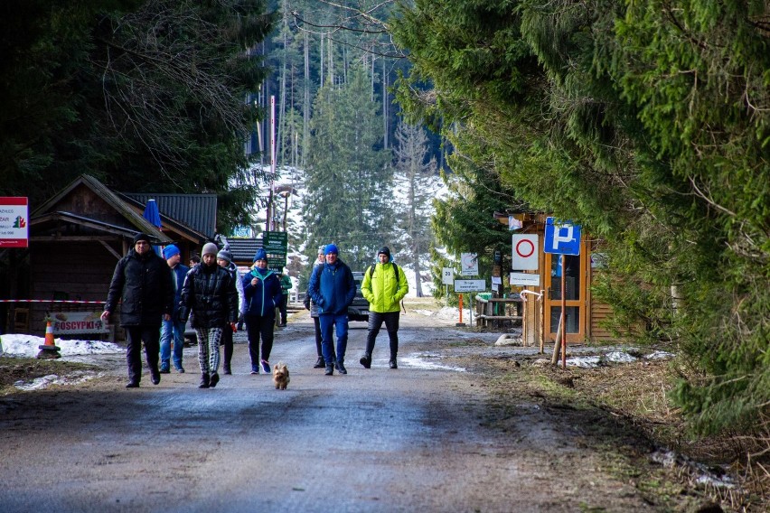 Koronawirus - Zakopane. Mimo zakazu wielu turystów wchodzi na tatrzańskie szlaki