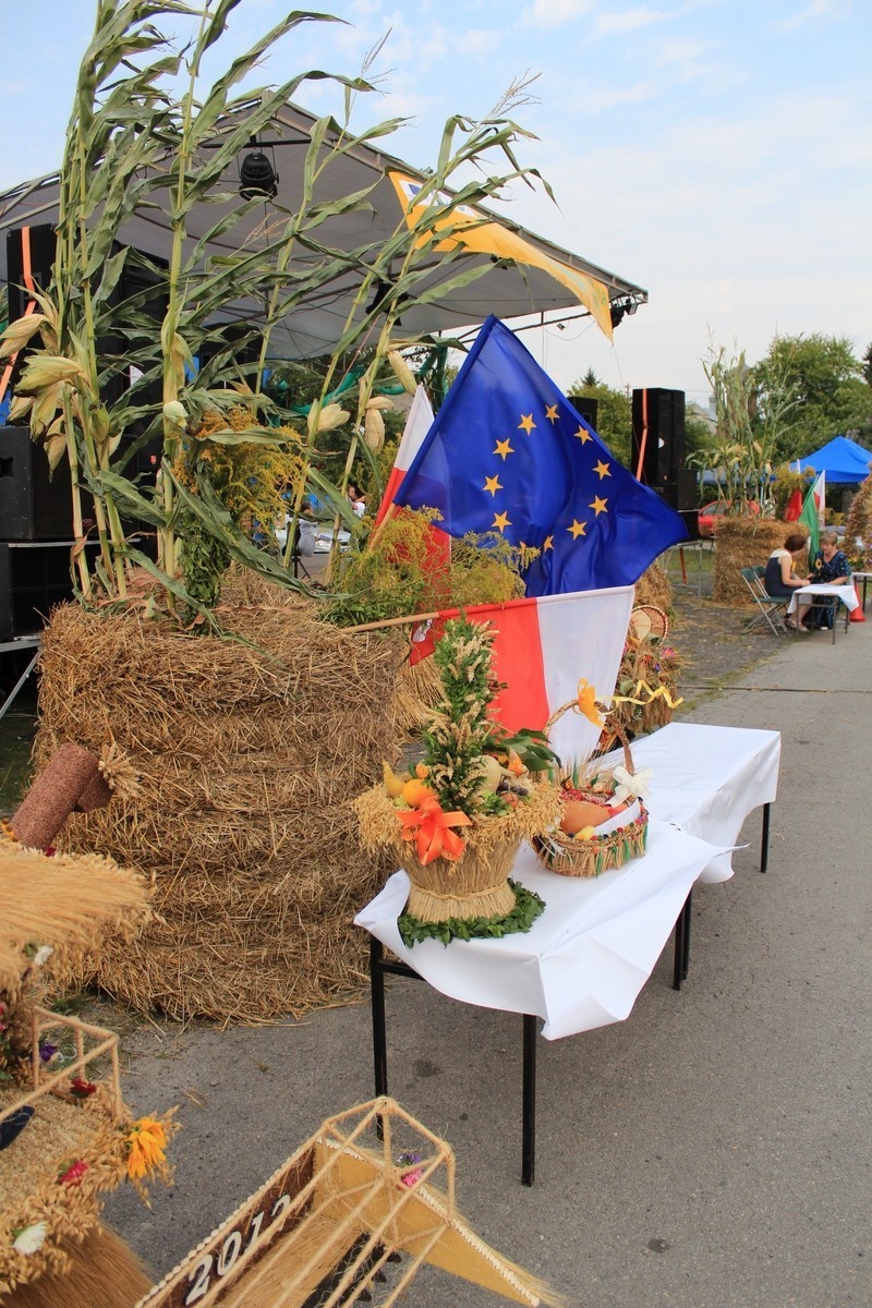 Wojsławice: Festiwal Tradycyjnego Rzemiosła i Kulinariów ZDJĘCIA