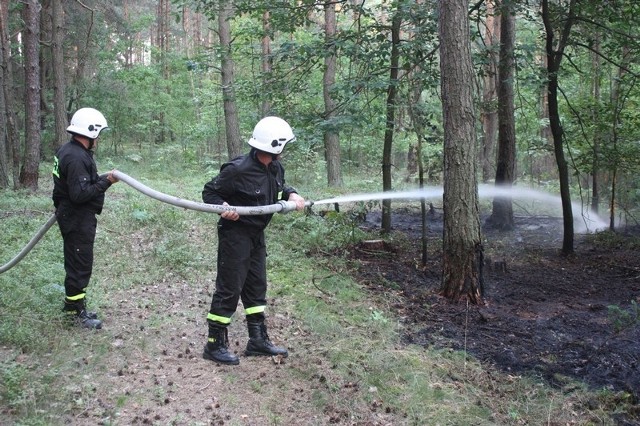 Witajcie zawiercianie: Tak strażacy gasili pożar w okolicach Dobrogoszczyc.