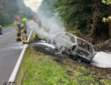 Niedaleko Gorzowa Wlkp. samochód wypadł z drogi i doszczętnie spłonął. Kierowca uciekł?