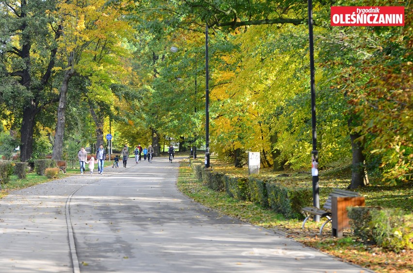 Oleśnica pobiegła dla 5-letniej Nikoli [GALERIA ZDJĘĆ]