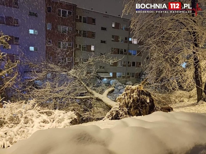 Tarnowskie. Strażacy wciąż usuwają skutki śnieżycy i dostarczają agregaty prądotwórcze. W Uszwi zawalił się dach na budynku gospodarczym 