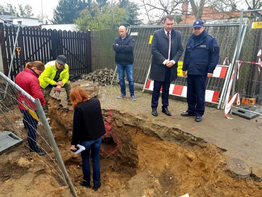 Kości ludzkie znalezione przy ulicy Powstańców Wielkopolskich