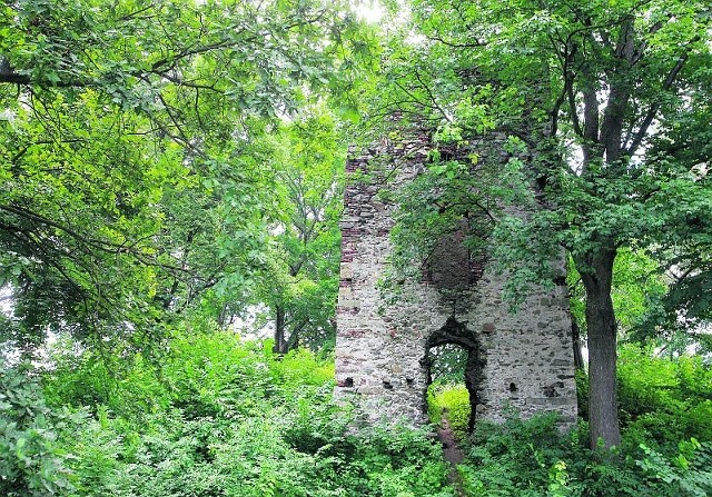Po zamku w Starej Kamienicy została tylko zrujnowana kamienna wieża i zarośnięta fosa