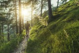 Gdzie udać się na wiosenny spacer bez tłumów? Odkryj najbardziej odludne lasy i puszcze w Polsce