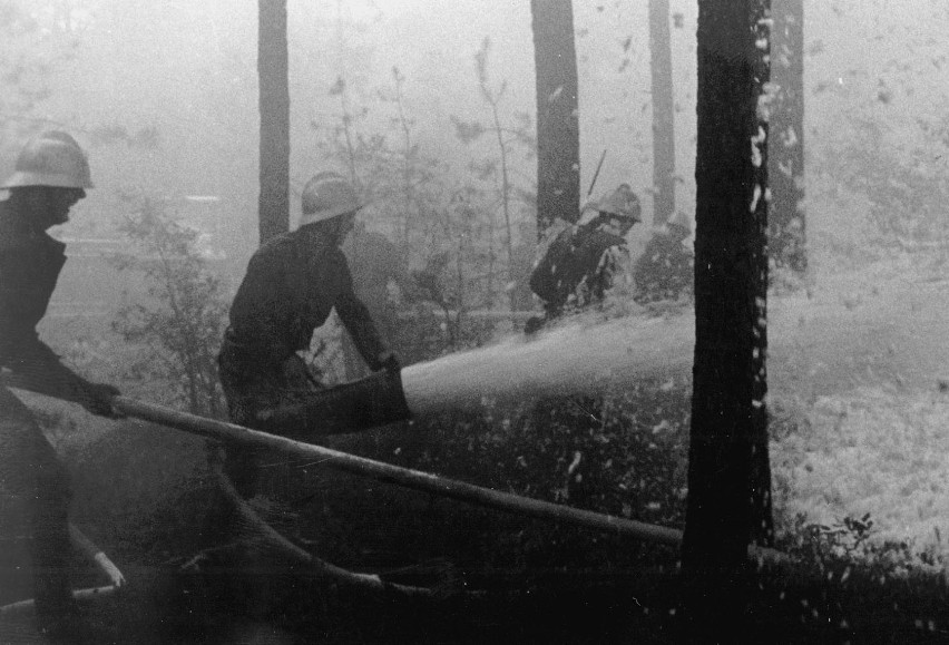 50 archiwalnych zdjęć z największego pożaru lasów w Europie....