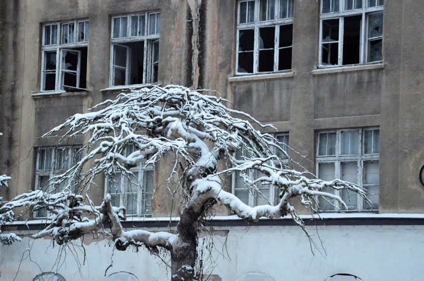 Biała niedziela - śnieg w Żaganiu