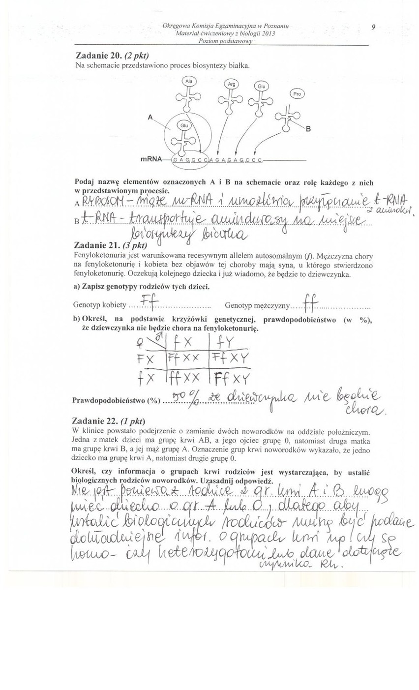 Próbna matura 2013: Biologia [ARKUSZE, ODPOWIEDZI]