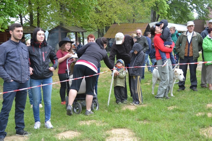 Turniej Woźniców i Hodowców Koni Zimnokrwistych na Kaszubach...