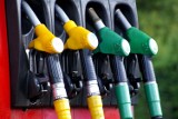 Ceny paliw na stacjach w regionie. Za ile dzisiaj zatankujesz litr paliwa w powiecie międzychodzkim? 