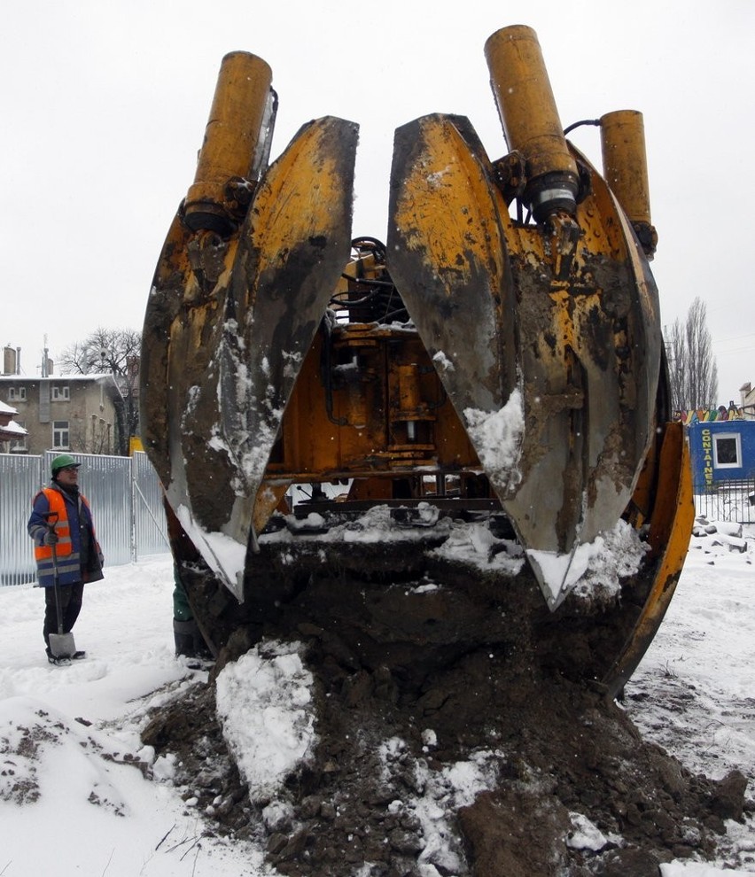 Budowa dworca w Sopocie i problem z drzewem. Kłęk kanadyjski został przeniesiony [ZDJĘCIA]