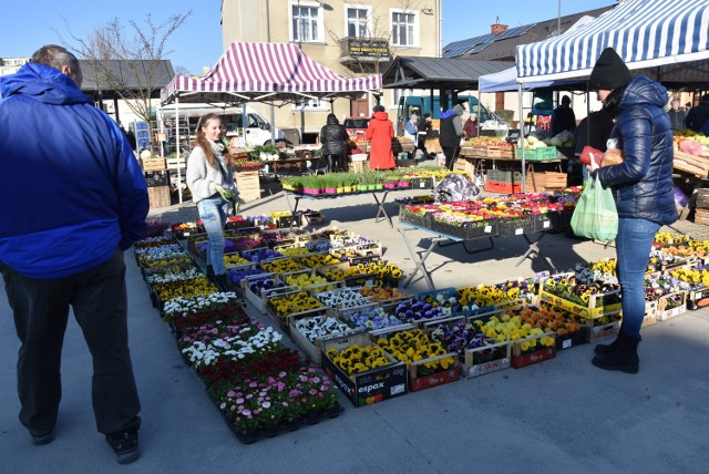 Wiosna na Dworzysku, coraz więcej stoisk z sadzonkami kwiatów i ziół