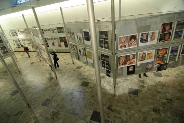 W swych zbiorach posiada około 54 tysiące prac. Znajdują się wśród nich m.in. kolekcje plakatu polskiego i europejskiego od końca XIX wieku do współczesności, kolekcja Polskiej Szkoły Plakatu, jak również kolekcje plakatu amerykańskiego, chińskiego i japońskiego. W zbiorach muzeum znajdują się prace m.in. Pabla Picassa, Andy'ego Warhola i Stasysa Eidrigevičiusa.

Muzeum Plakatu w Wilanowie, Oddział Muzeum Narodowego w Warszawie, ul. St. Kostki Potockiego 10/16, czynne w godz. 12-16