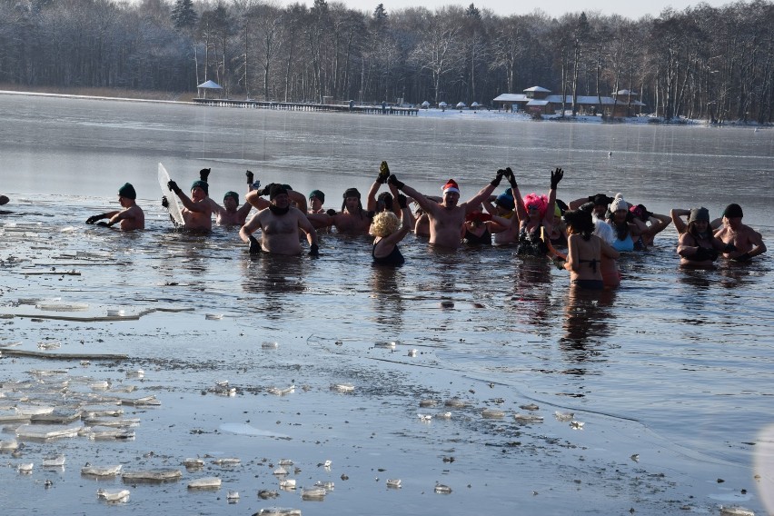Morsy w Szczecinku doczekały się lodu. Pierwsza prawdziwie zimowa kąpiel [zdjęcia]