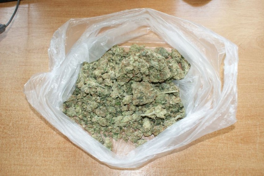 Wstępne badanie wykazało, że to prawie 100 gram marihuany....