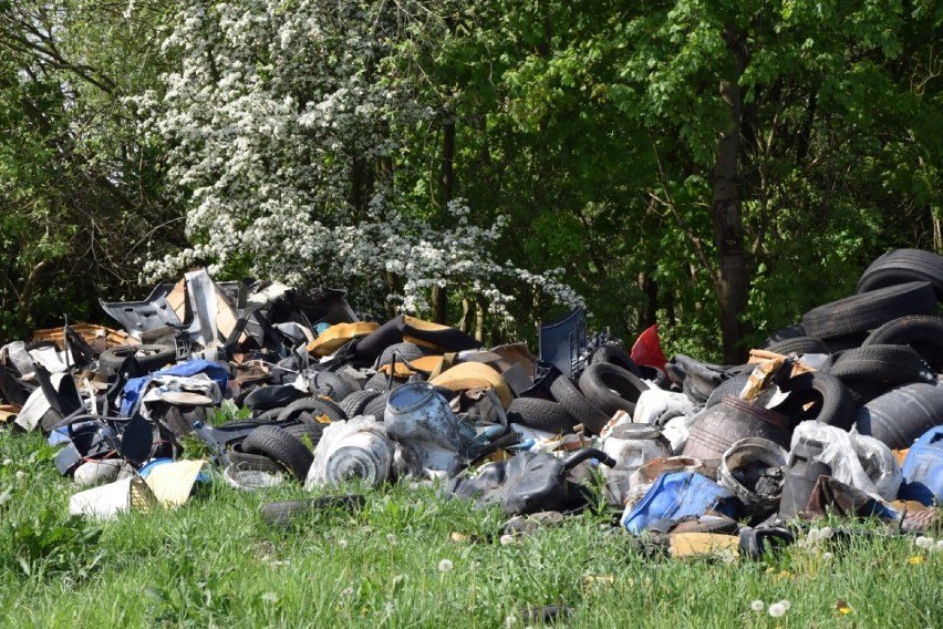 Ekologiczna bomba w Lęborku. Tysiące opon, do tego beczki, gruz, części aut na miejskiej działce  [ZDJĘCIA]