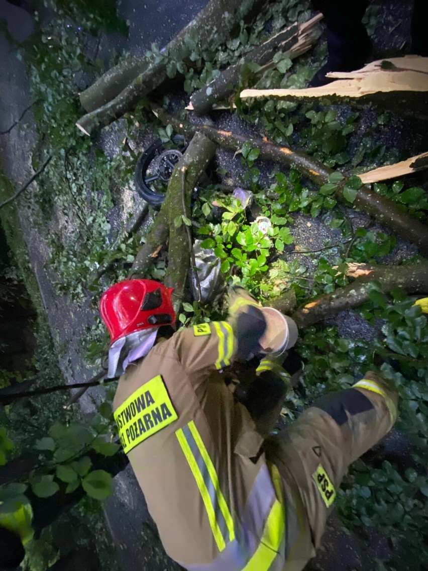 Powalone drzewo przyczyną groźnego wypadku pod Gościnem