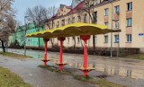 To ikona Gołonoga! Ostatnia taka wiata w Dąbrowie Górniczej. Mieszkańcy mają mnóstwo pomysłów, ale chcą, by została na swoim miejscu
