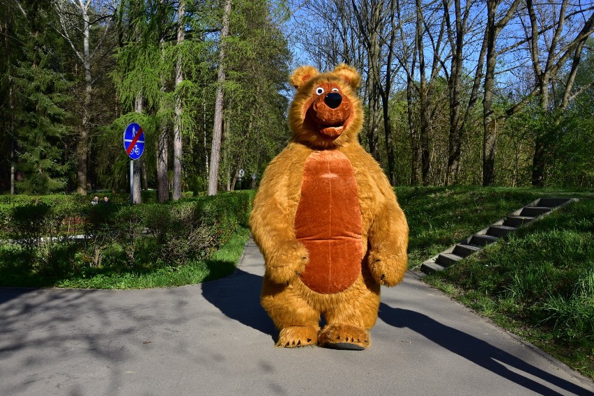 Niedźwiedź prosto z bajki o Maszy zwitał do Parku Miejskiego...