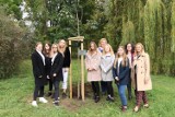 Park Przyjaźni w Kaliszu wzbogacił się o nowe drzewo, dar przyjaciół z partnerskiego Hamm ZDJĘCIA