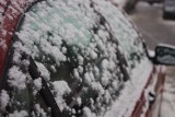 Buhaha… zima zła! Śnieg spadł na Warszawę [zdjęcia]