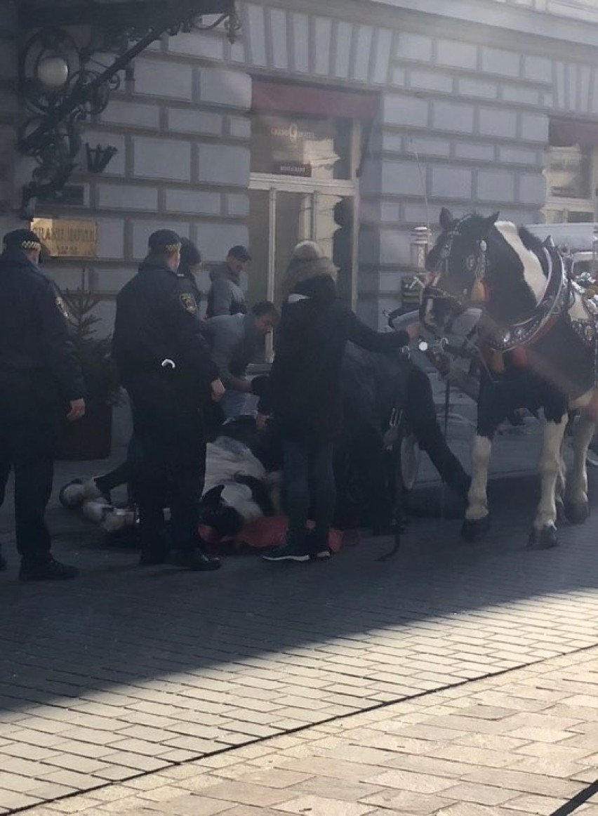 Kraków. Koń ciągnący dorożkę przewrócił się na ul. Sławkowskiej [ZDJĘCIA]