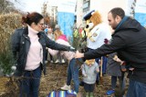 600 sadzonek wylądowało w ziemi. Akcja "Miejski Mikrolas" odbyła się po raz trzeci w Gdańsku