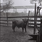 Strzemieszyce Małe tłem dla zwycięskiej opowieści fotograficznej