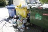 Od czego będzie zależeć opłata za śmieci w Opolu? Ratusz przygotował ankietę 
