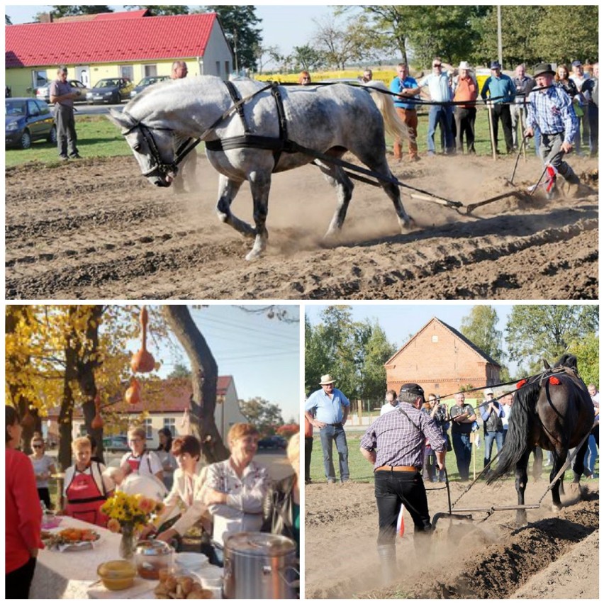 Dorota Krutin z Henrykowic (gm. Milicz) jest pierwszą w...