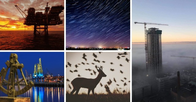 Oto druga część niesamowitych zdjęć nadesłanych przez szczecinian - internautów GS24.pl. Ludzie, miasta, natura, zwierzęta - każdy kadr jest niezwykły więc nie przegap żadnego z nich!