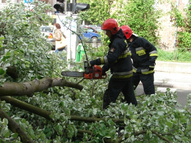 50 interwencji w dwie godziny. Strażacy walczą w Szczecinie ze skutkami wichury